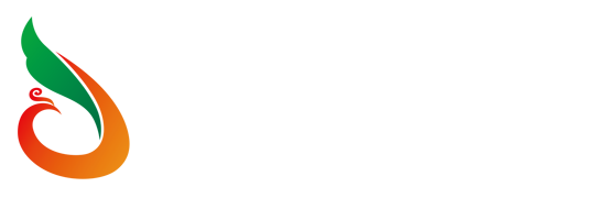 玩加电竞